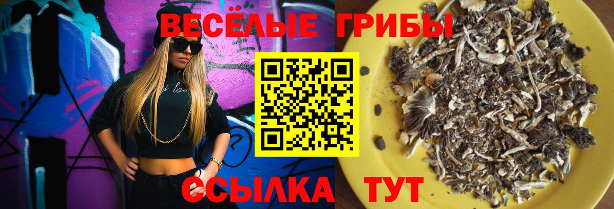 Псилоцибиновые грибы GOLDEN TEACHER  Вход с VPN  Наро-Фоминск 